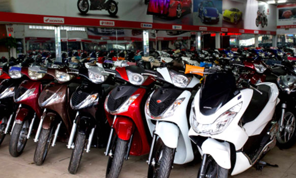 Hình minh họa câu hỏi
